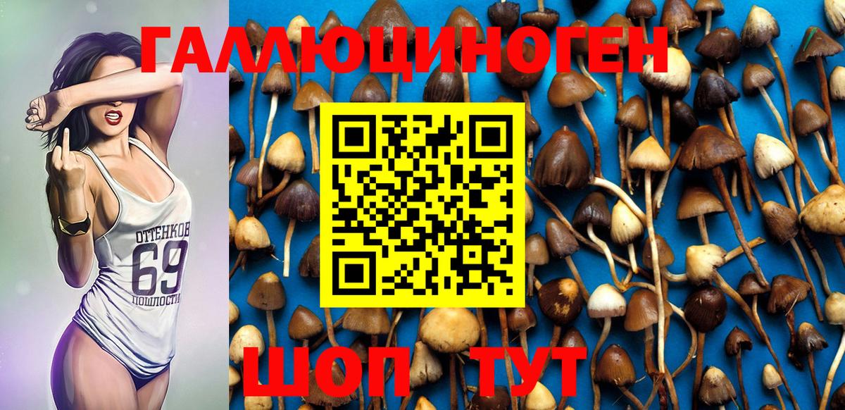 Псилоцибиновые грибы Psilocybine cubensis  Галлюциногенные грибы Magic Shrooms  Вход с VPN  Альметьевск 