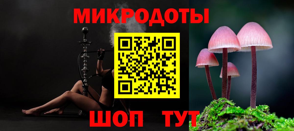 Галлюциногенные грибы Psilocybe Альметьевск